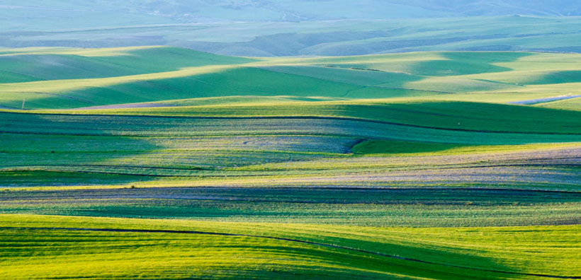 遥瞻帝阙五云红，生死茫茫不可知是指什么生肖；解释作答落实解答<a class=