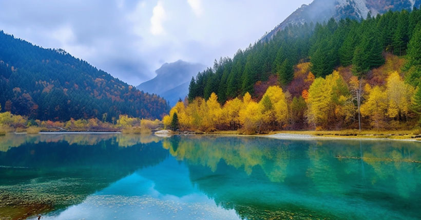 五方杂处指代表什么生肖，释义解释词语落实<a class=