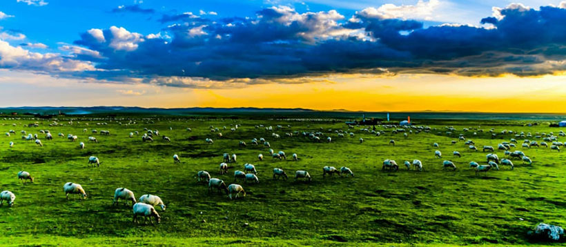 汗颜无地代表指什么生肖、词语落实释义解释<a class=